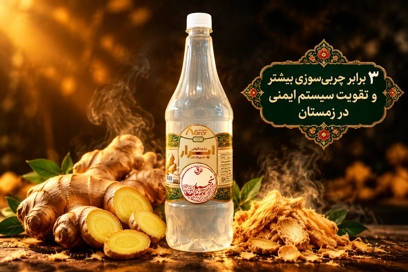 عرق زنجبیل؛ احیاکننده حرارت غریزی، تسکیندهنده دردهای مفصلی، تقویت هاضمه و محرک سیستم ایمنی در مکتب طب سنتی و طب اسلامی